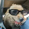 benjamincasado - @benjamincasado001 - TikTok