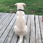 Benjamin Cash - @benjitheunknown - Instagram
