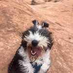 Benjamin Cash - @bcash8 - Instagram