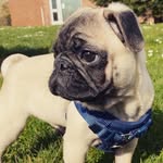Benjamin cash petersen - @little_man_benny_21 - Instagram