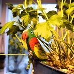 Benjamin Casper - @benyummin - Instagram