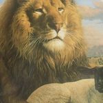 Benjamin Casper - @benjamin.casper.127 - Instagram