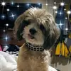 Benjamin Castle - @benjamin.castle - TikTok