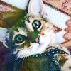 benjamincatton - @benjamincatton - TikTok