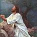 Benjamin Cely - Facebook