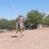 Benjamin Cera - @benjamin.cera - TikTok