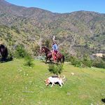 Benjamin Cerda - @benjamin.cerda.90260 - Instagram