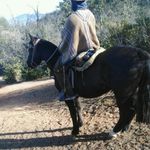 Benjamin Cerda - @benjamin.cerda.7965 - Instagram
