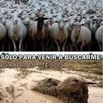 Benjamin Cerna - @benjamincerna - Instagram