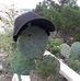 Benjamin Cerna - Facebook