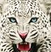 Ben Certeza - Facebook