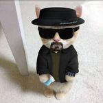 Benjamin John Certeza - @benjoews - Instagram