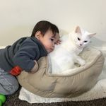 Benjamin K Chamberlain - @benjamink3snow - Instagram