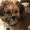 benjamin.chaney - @benjamin.chaney - TikTok
