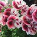 Benjamin Chang Ben Chang - Facebook