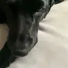 Ben - @benjamin.charron - TikTok