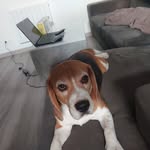 benjamin charron - @bejamincha67 - Instagram