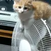 Benjamin Charron - @kiro.tiktok - TikTok