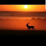 Benjamin Bonnet - @benjamin.insta.chasse - Instagram
