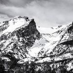 Benjamin Chastain - @livingconservation - Instagram