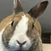 Benjamin Chavarry - @benjamin.chavarry7 - TikTok