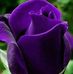 Ben Checketts - Facebook