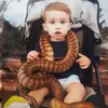 Ben Cheshire - @bencheshire3 - TikTok