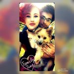 Morty,Benjamin,Chester - @morty_and_theboys - Instagram