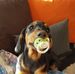 Benjamin Chevalier - Facebook