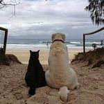 Benjamin Chew - @benjaminchew0601 - Instagram