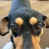 Benjamin_Rothschild - @benjamin_rothschild - TikTok