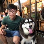 Benjamin Chin - @bdogchin - Instagram