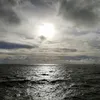 Benjamin Chin - @2179683792 - TikTok