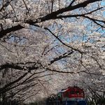 Benjamin Chui - @benjamin_chui - Instagram