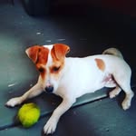 Benjamin Cilia - @benjamin.cilia - Instagram