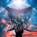 Benjamin Cilia - Facebook