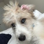 Benjamin Clancy - @benjamin.clancy - Instagram