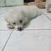 Benjamin Clemente - Facebook
