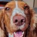 Benjamin J. Cline - Facebook