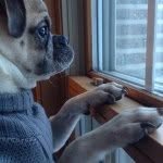 Bits Benjamin Cloud - @bitscloud - Instagram
