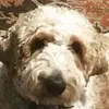 benjamin__cobb - @benjamin__cobb - TikTok