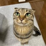 Benjamin charles cobb - @bencobb_ - Instagram