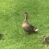 ben.coburn - @ben.coburn - TikTok