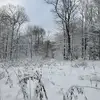Benjamin Cochran - @bigcoch1 - TikTok