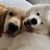 Benjamin and Coconut - @benjamin.and.coco - TikTok