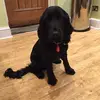 benjaminandcoco123 - @benjaminandcoco123 - TikTok