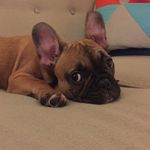 Benjamin Conrad - @benjamin_conrad - Instagram