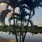 Benjamin Cowell - @benjamincowell44 - Instagram