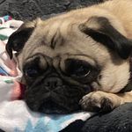 Benjamin Cowell - @cowell_benjamin - Instagram