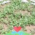 Benjamin Coy - Facebook